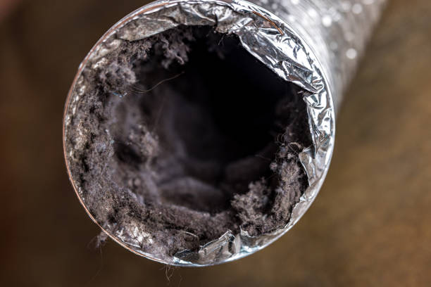 Best Dryer Vent Cleaning in Whitmire, SC